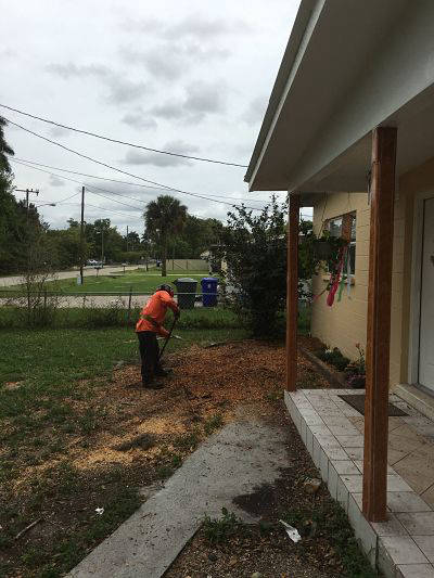 Property cleared after hazardous tree removal