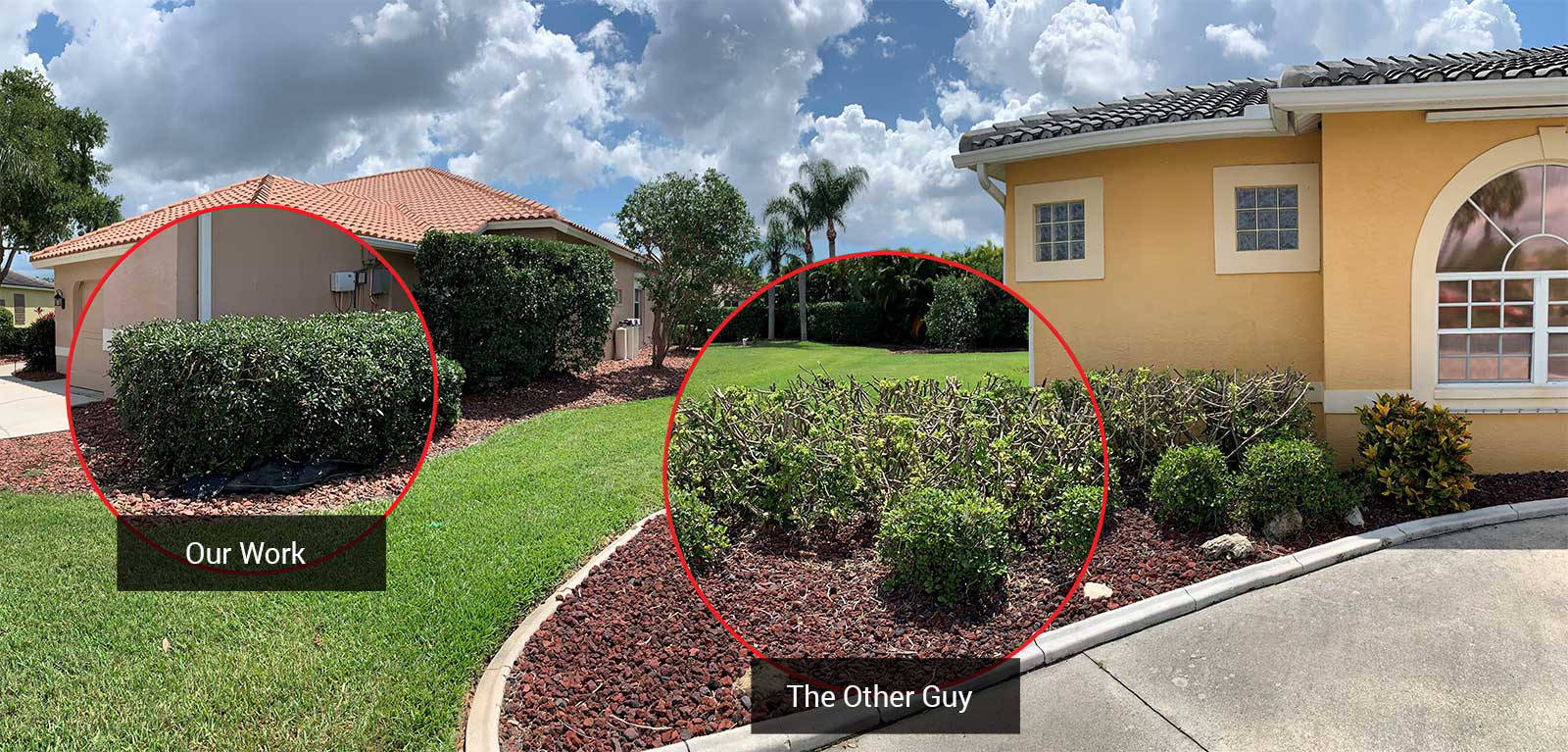 Trimmed hedge along a property line