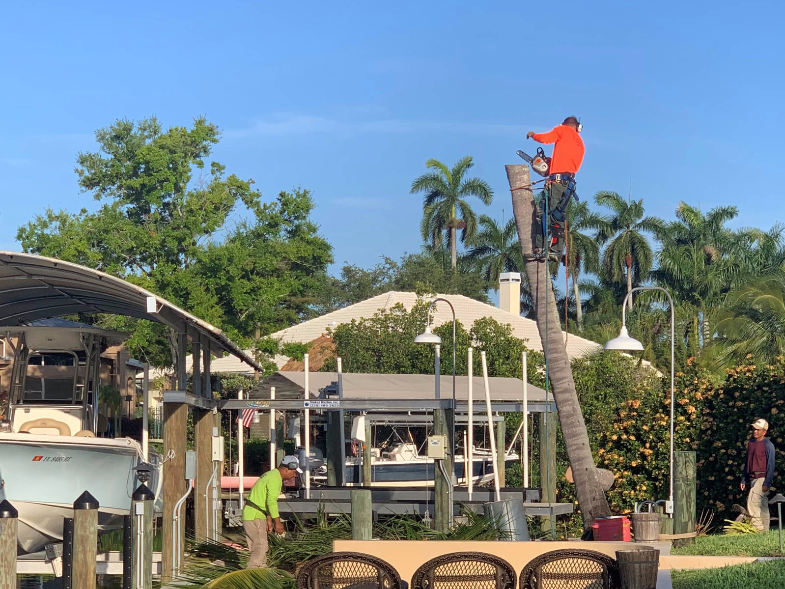 Hazardous tree removal in progress