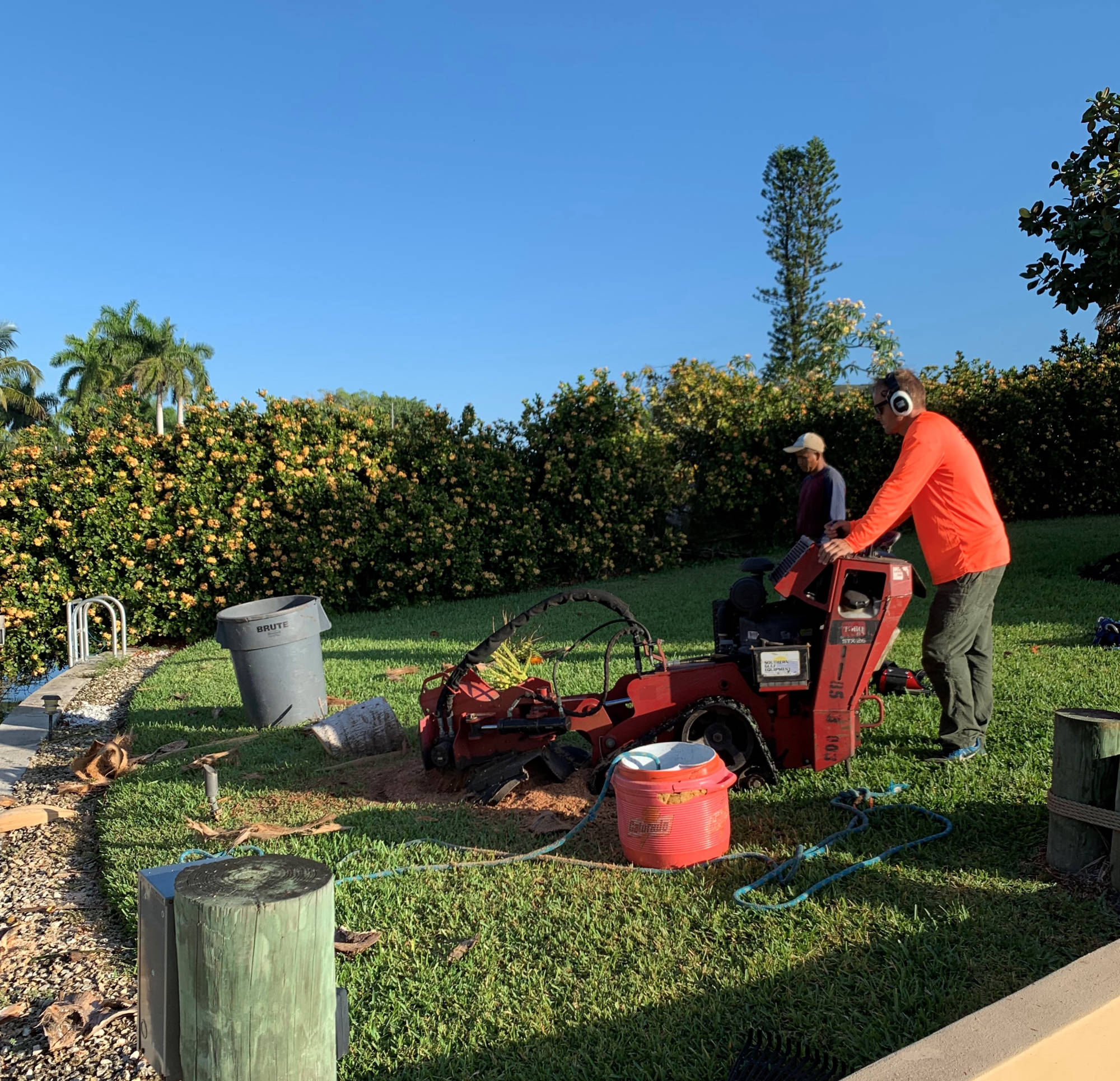 Stump grinder at work