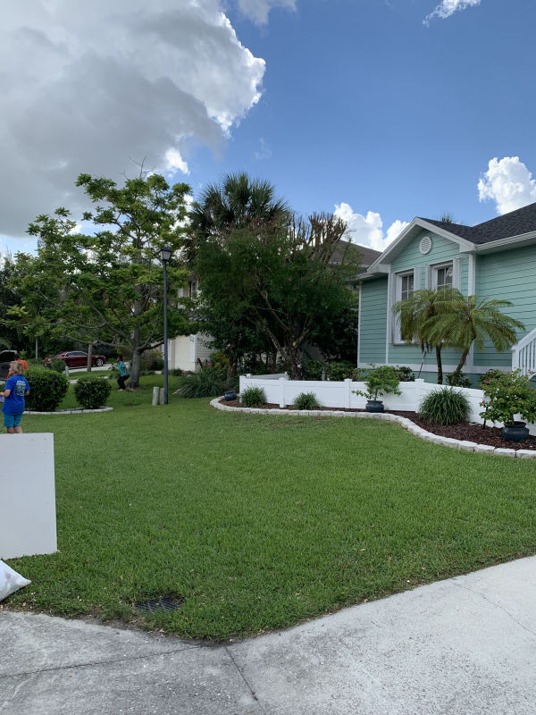 Shade tree pruning