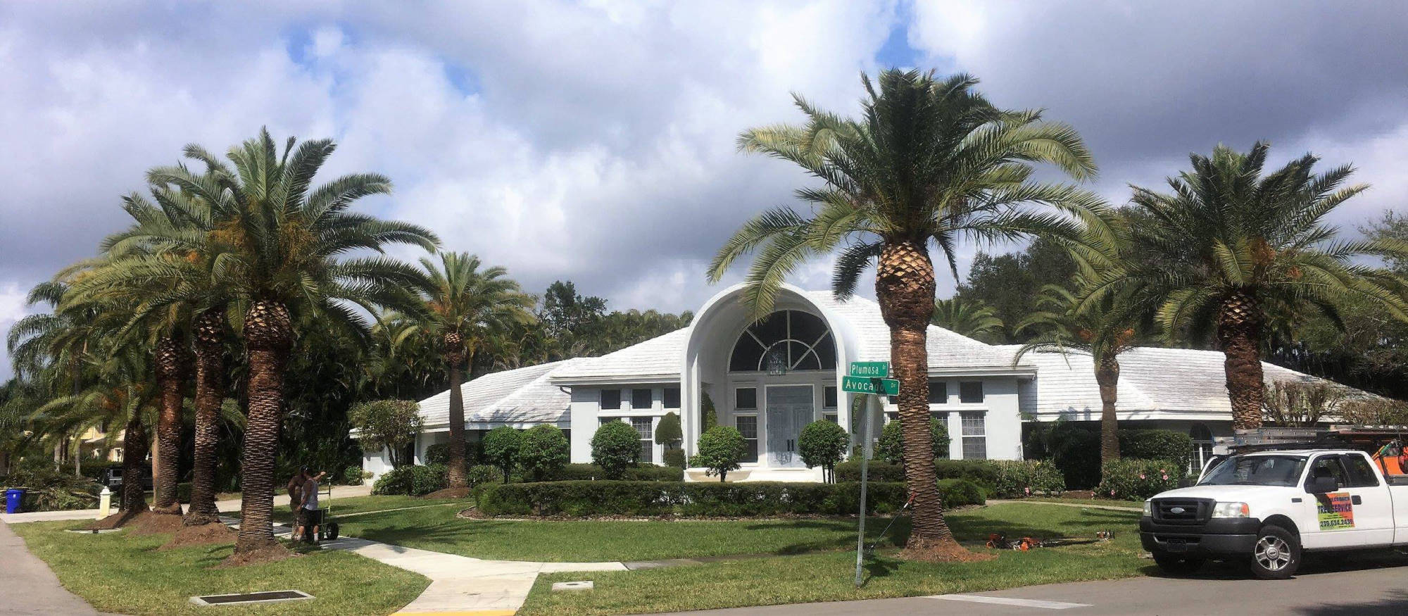 Light landscaping work by Mike Herronen's Tree Service