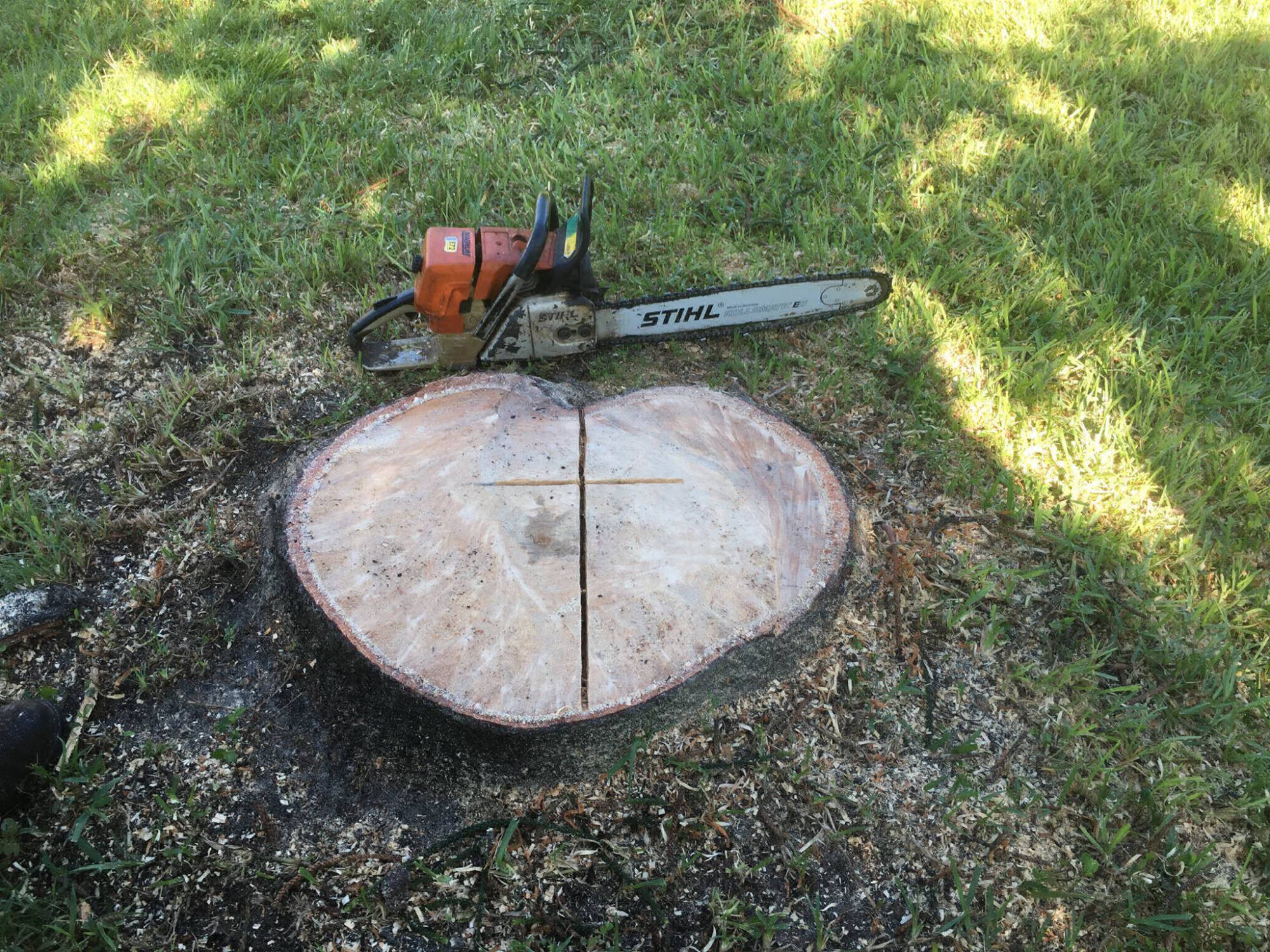 Stump Grinding